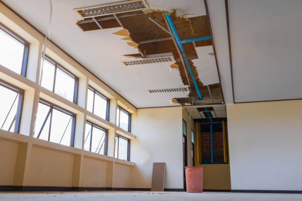 Carpet water damage restoration in SC