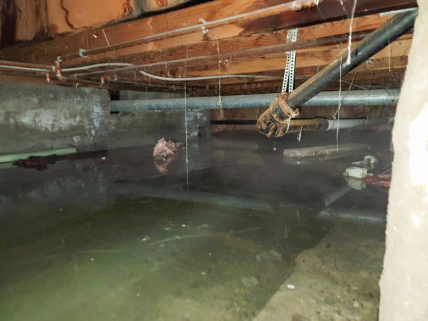 Best 24/7 water damage repair  in Red Hill, SC