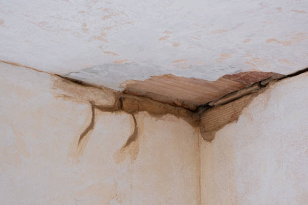 Best Basement water damage restoration  in Red Hill, SC
