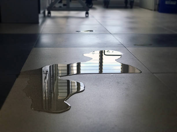 Best 24-hour water damage restoration  in Red Hill, SC