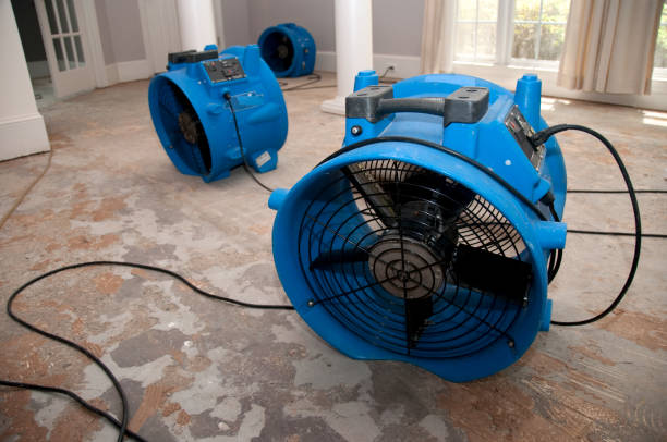 Best Water damage restoration experts  in Red Hill, SC