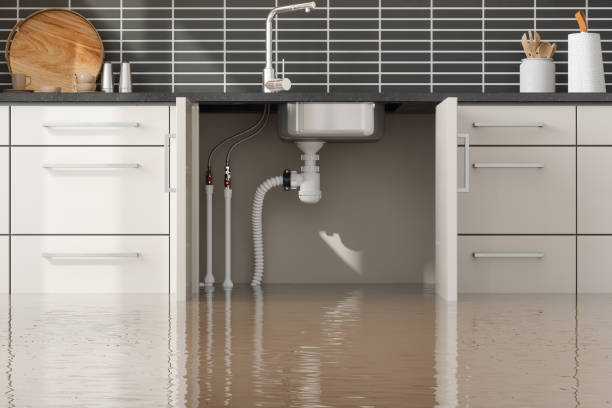Best Water damage cleanup near me  in Red Hill, SC