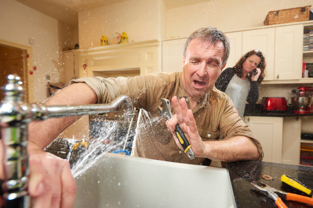 Best Mold removal after water damage  in Red Hill, SC